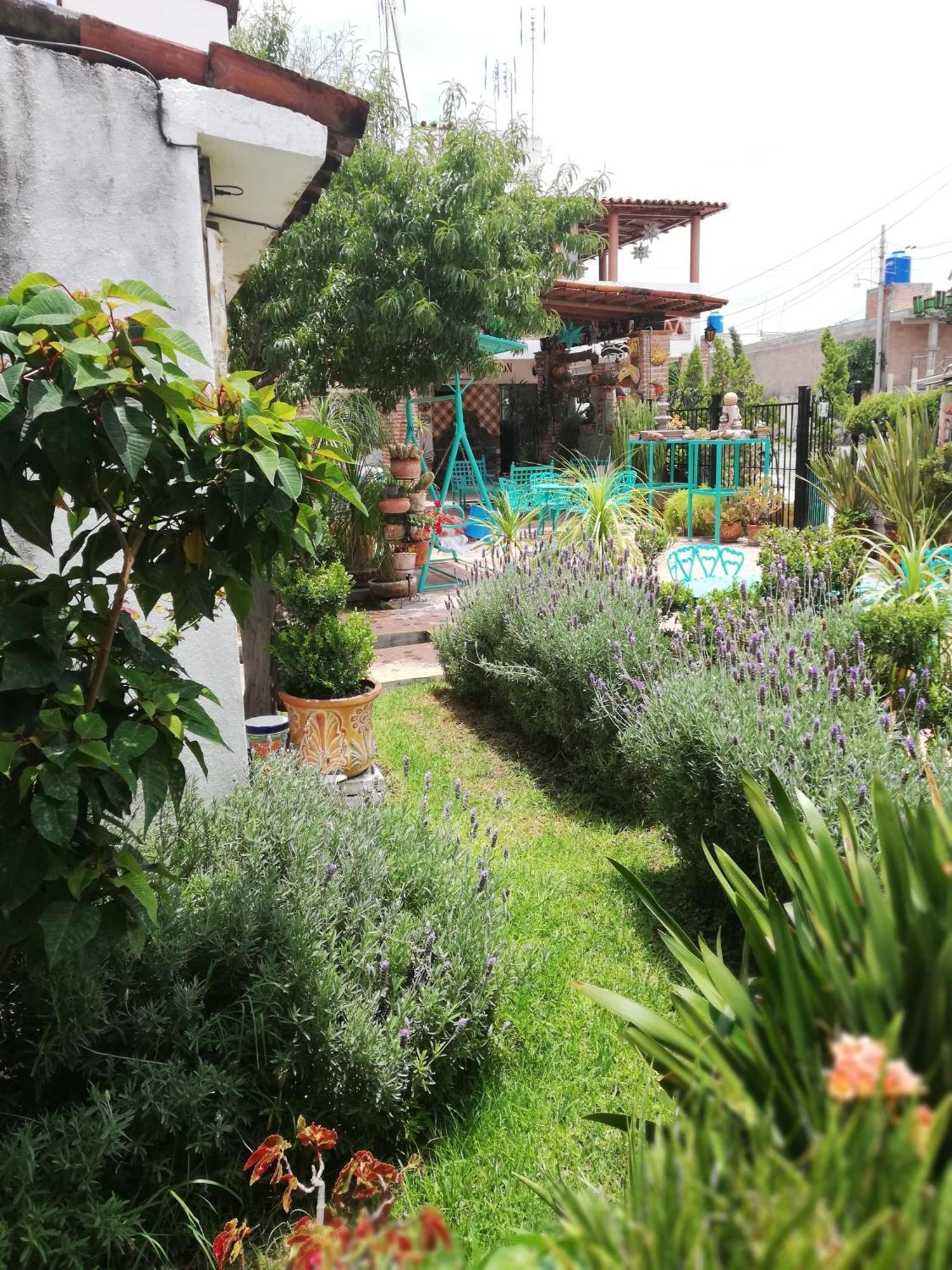 Margarita Hotel Бандита Экстерьер фото